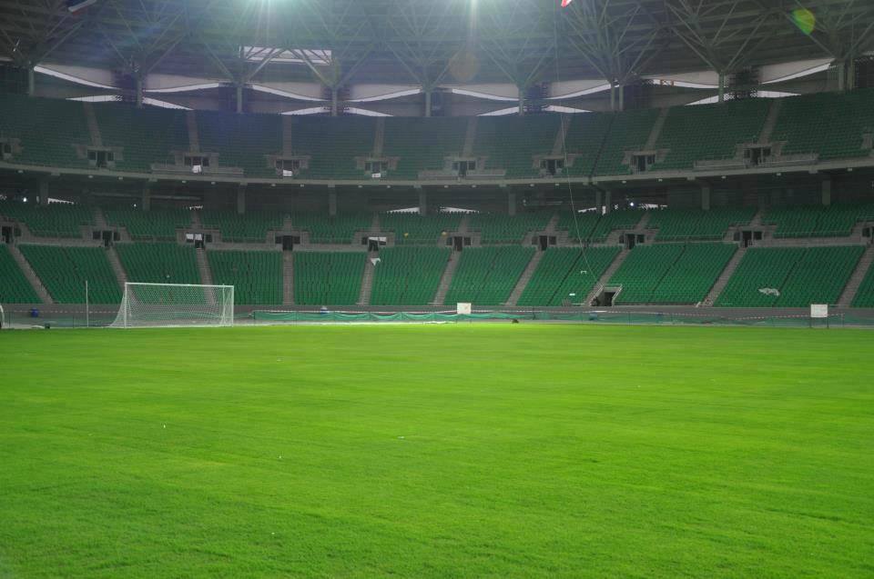 كلاب البيادر